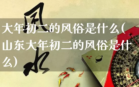 大年初二的风俗是什么(山东大年初二的风俗是什么)_https://www.nbtfsb.com_五行风水_第1张