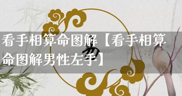 看手相算命图解【看手相算命图解男性左手】_https://www.nbtfsb.com_道源国学_第1张