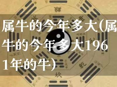 属牛的今年多大(属牛的今年多大1961年的牛)_https://www.nbtfsb.com_周公解梦_第1张