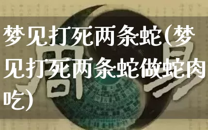 梦见打死两条蛇(梦见打死两条蛇做蛇肉吃)_https://www.nbtfsb.com_国学动态_第1张