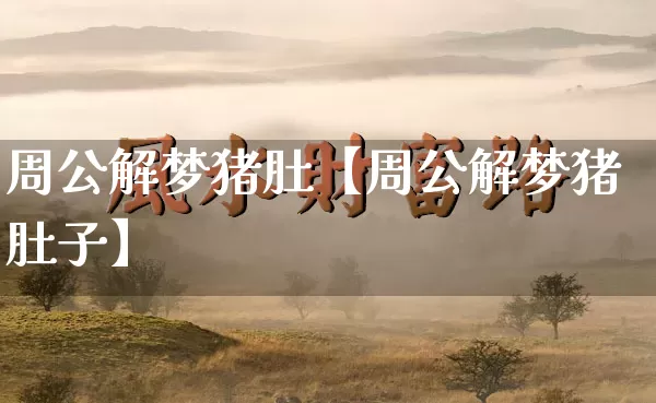 周公解梦猪肚【周公解梦猪肚子】_https://www.nbtfsb.com_易经起名_第1张