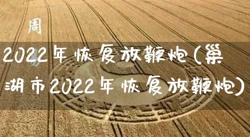 2022年恢复放鞭炮(巢湖市2022年恢复放鞭炮)_https://www.nbtfsb.com_五行风水_第1张