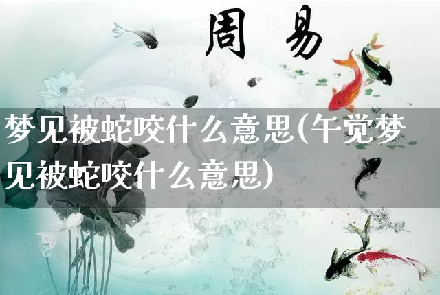 梦见被蛇咬什么意思(午觉梦见被蛇咬什么意思)_https://www.nbtfsb.com_八字算命_第1张