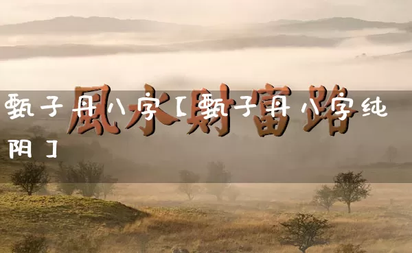 甄子丹八字【甄子丹八字纯阴】_https://www.nbtfsb.com_周公解梦_第1张