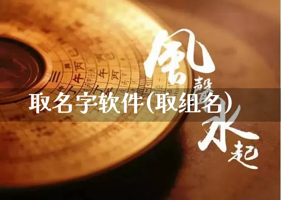 取名字软件(取组名)_https://www.nbtfsb.com_五行风水_第1张