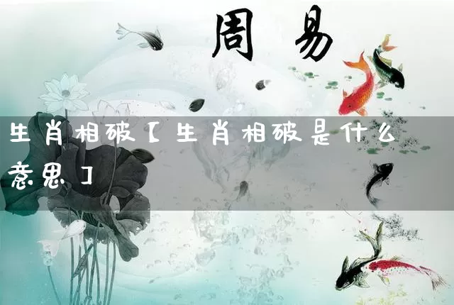 生肖相破【生肖相破是什么意思】_https://www.nbtfsb.com_生肖星座_第1张