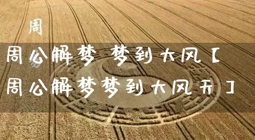 周公解梦 梦到大风【周公解梦梦到大风天】_https://www.nbtfsb.com_生肖星座_第1张