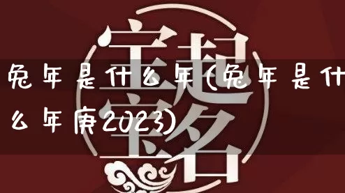 兔年是什么年(兔年是什么年庚2023)_https://www.nbtfsb.com_国学动态_第1张