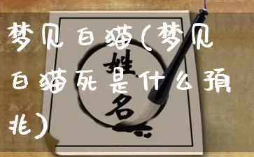 梦见白猫(梦见白猫死是什么预兆)_https://www.nbtfsb.com_易经起名_第1张