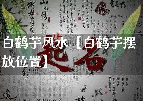 白鹤芋风水【白鹤芋摆放位置】_https://www.nbtfsb.com_国学动态_第1张