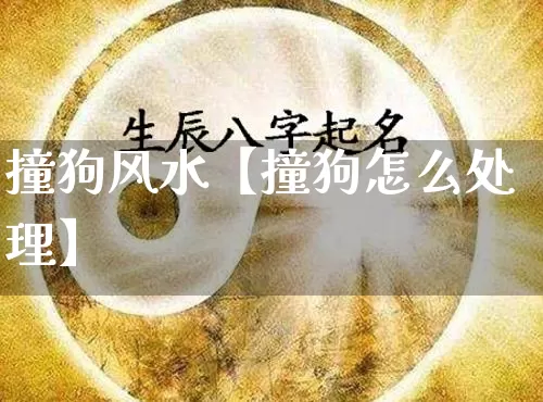 撞狗风水【撞狗怎么处理】_https://www.nbtfsb.com_八字算命_第1张