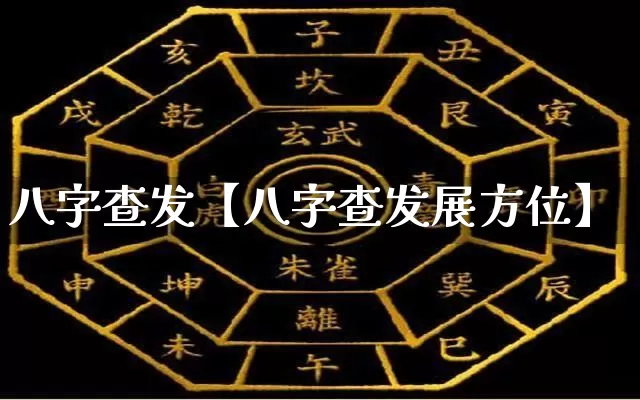 八字查发【八字查发展方位】_https://www.nbtfsb.com_生肖星座_第1张