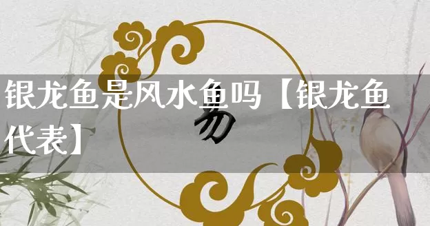 银龙鱼是风水鱼吗【银龙鱼代表】_https://www.nbtfsb.com_八字算命_第1张