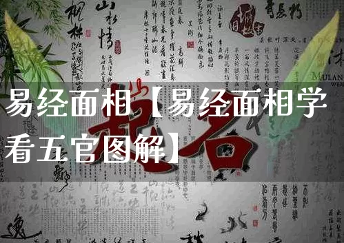 易经面相【易经面相学看五官图解】_https://www.nbtfsb.com_周公解梦_第1张
