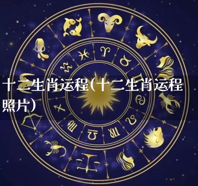 十二生肖运程(十二生肖运程照片)_https://www.nbtfsb.com_国学动态_第1张