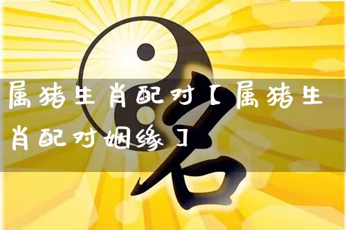 属猪生肖配对【属猪生肖配对姻缘】_https://www.nbtfsb.com_国学动态_第1张