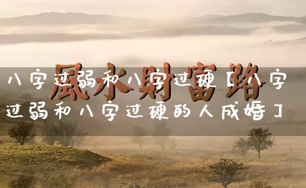 八字过弱和八字过硬【八字过弱和八字过硬的人成婚】_https://www.nbtfsb.com_八字算命_第1张
