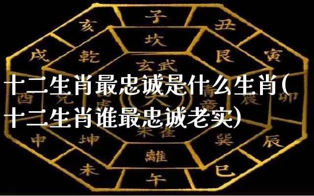 十二生肖最忠诚是什么生肖(十二生肖谁最忠诚老实)_https://www.nbtfsb.com_周公解梦_第1张