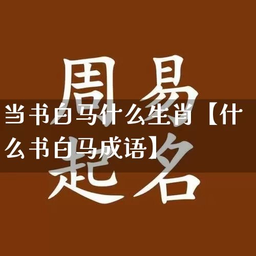 当书白马什么生肖【什么书白马成语】_https://www.nbtfsb.com_生肖星座_第1张