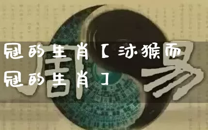 冠的生肖【沐猴而冠的生肖】_https://www.nbtfsb.com_道源国学_第1张