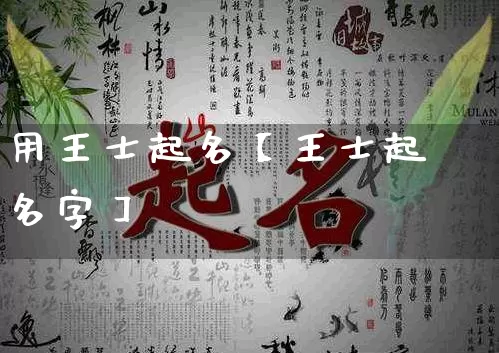 用王士起名【王士起名字】_https://www.nbtfsb.com_周公解梦_第1张