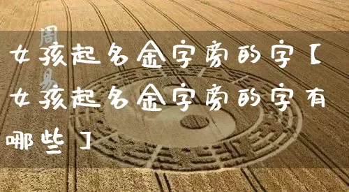 女孩起名金字旁的字【女孩起名金字旁的字有哪些】_https://www.nbtfsb.com_五行风水_第1张