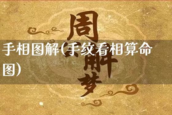 手相图解(手纹看相算命图)_https://www.nbtfsb.com_周公解梦_第1张