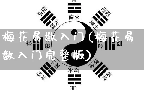 梅花易数入门(梅花易数入门完整版)_https://www.nbtfsb.com_道源国学_第1张