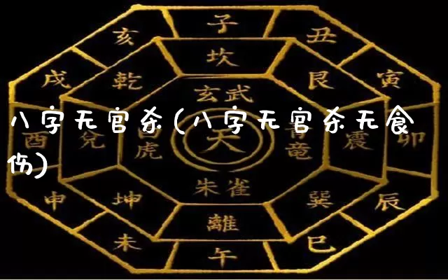 八字无官杀(八字无官杀无食伤)_https://www.nbtfsb.com_周公解梦_第1张