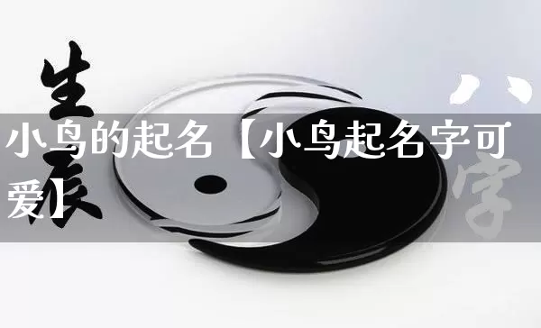 小鸟的起名【小鸟起名字可爱】_https://www.nbtfsb.com_周公解梦_第1张