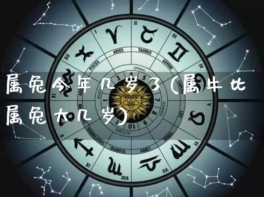 属兔今年几岁了(属牛比属兔大几岁)_https://www.nbtfsb.com_生肖星座_第1张