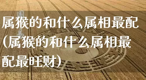 属猴的和什么属相最配(属猴的和什么属相最配最旺财)_https://www.nbtfsb.com_八字算命_第1张
