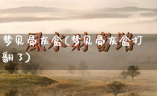 梦见骨灰盒(梦见骨灰盒打翻了)_https://www.nbtfsb.com_道源国学_第1张