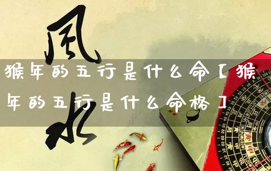 猴年的五行是什么命【猴年的五行是什么命格】_https://www.nbtfsb.com_八字算命_第1张