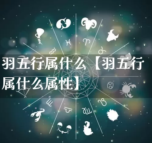 羽五行属什么【羽五行属什么属性】_https://www.nbtfsb.com_国学动态_第1张