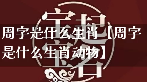 周字是什么生肖【周字是什么生肖动物】_https://www.nbtfsb.com_道源国学_第1张