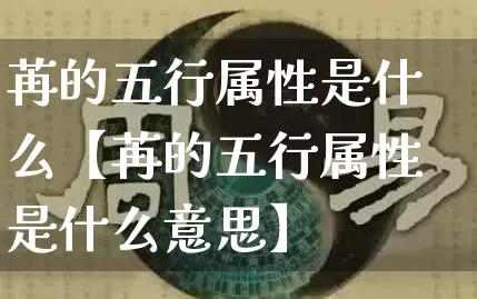 苒的五行属性是什么【苒的五行属性是什么意思】_https://www.nbtfsb.com_生肖星座_第1张