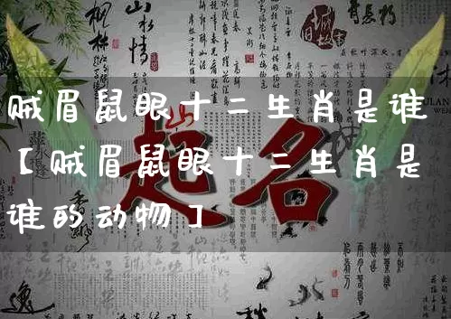 贼眉鼠眼十二生肖是谁【贼眉鼠眼十二生肖是谁的动物】_https://www.nbtfsb.com_国学动态_第1张