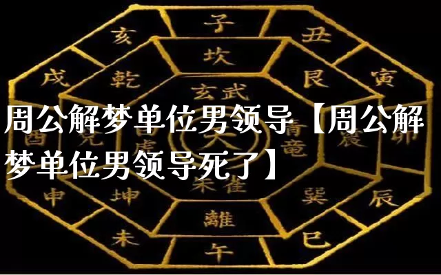 周公解梦单位男领导【周公解梦单位男领导死了】_https://www.nbtfsb.com_道源国学_第1张