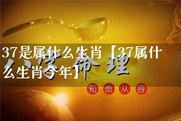 37是属什么生肖【37属什么生肖今年】_https://www.nbtfsb.com_生肖星座_第1张