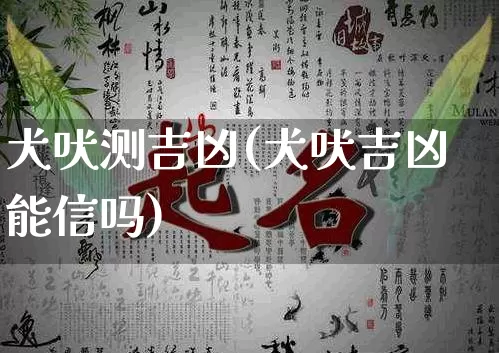 犬吠测吉凶(犬吠吉凶能信吗)_https://www.nbtfsb.com_易经起名_第1张