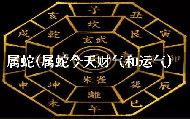 属蛇(属蛇今天财气和运气)_https://www.nbtfsb.com_周公解梦_第1张