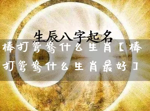 棒打鸳鸯什么生肖【棒打鸳鸯什么生肖最好】_https://www.nbtfsb.com_国学动态_第1张