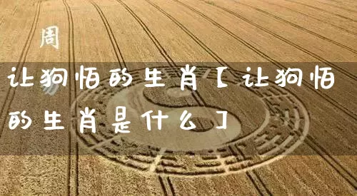 让狗怕的生肖【让狗怕的生肖是什么】_https://www.nbtfsb.com_道源国学_第1张
