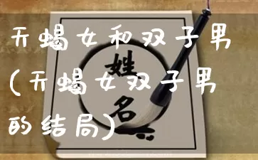 天蝎女和双子男(天蝎女双子男的结局)_https://www.nbtfsb.com_国学动态_第1张