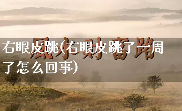 右眼皮跳(右眼皮跳了一周了怎么回事)_https://www.nbtfsb.com_易经起名_第1张