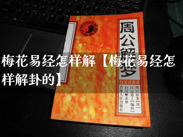 梅花易经怎样解【梅花易经怎样解卦的】_https://www.nbtfsb.com_易经起名_第1张