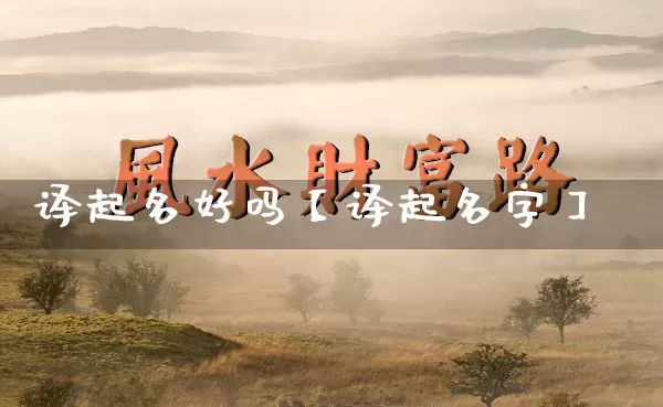 译起名好吗【译起名字】_https://www.nbtfsb.com_五行风水_第1张