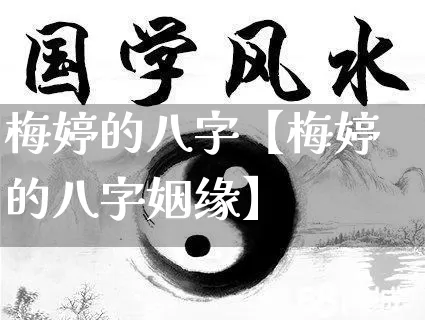 梅婷的八字【梅婷的八字姻缘】_https://www.nbtfsb.com_道源国学_第1张