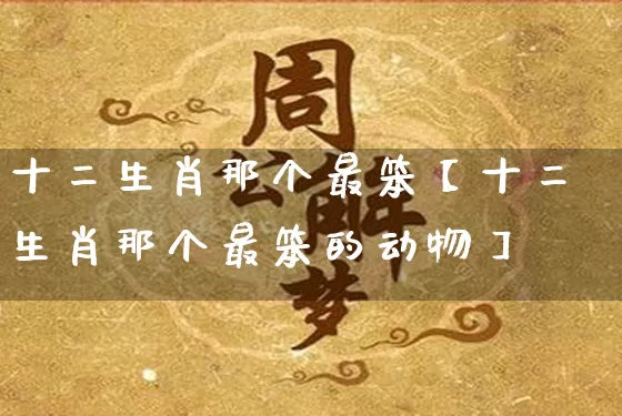 十二生肖那个最笨【十二生肖那个最笨的动物】_https://www.nbtfsb.com_周公解梦_第1张